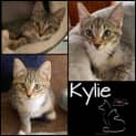 Photo of Kylie