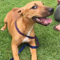 Photo of Cinna