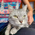 Photo of Tink