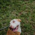 Photo of Ruby ~ Looking For Love