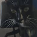 Photo of Kallie