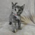 Photo of Matilda