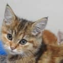 Photo of Maggie