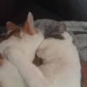 Photo of Sam & Ralph