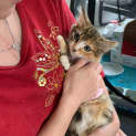 Photo of Mocha