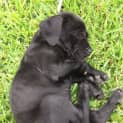 Photo of Mia