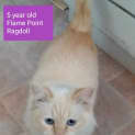 Photo of Moo