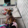 Photo of Roxy