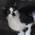Photo of Katie