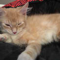Photo of Jagger Located In Reservoir
