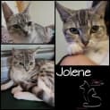 Photo of Jolene