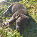 Photo of Gabby