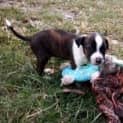 Photo of Squirt