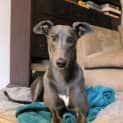 Photo of Roo