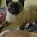 Photo of Millicent