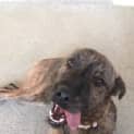 Photo of Marcie
