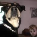 Photo of Keston