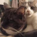 Photo of Mimi & Princess   Located In Preston