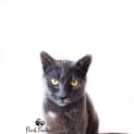 Photo of Storm