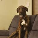 Photo of Stanley