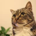 Photo of Bobbi Meet Me At Neko Hq In Preston