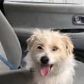 Photo of Max