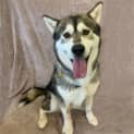 Photo of Alpha