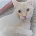 Photo of Sugar