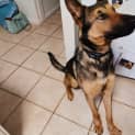 Photo of Fenton