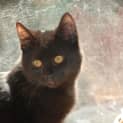 Photo of Tennyson~Best Friend For Life