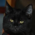 Photo of Tennyson~Best Friend For Life