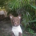 Photo of Coco