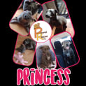 Photo of Princess