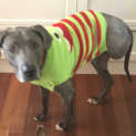 Photo of Wendy