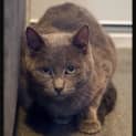 Photo of Indi