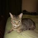 Photo of Evie