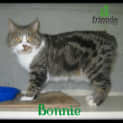 Photo of Bonnie