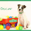 Photo of Oscar