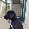Photo of Jocko