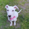 Photo of Lucy