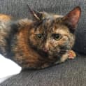 Photo of Grace    Meet Me In Cat Lounge/Neko Hq Preston