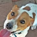 Photo of Turbo
