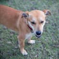 Photo of Matilda