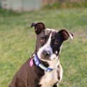 Photo of Maddie Dl2255