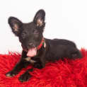 Photo of Lucylou