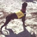 Photo of Barney