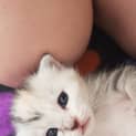 Photo of Luna