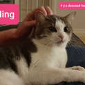 Photo of Ming