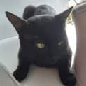 Photo of Fergus