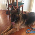 Photo of Brock